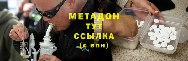 прущие грибы Абаза