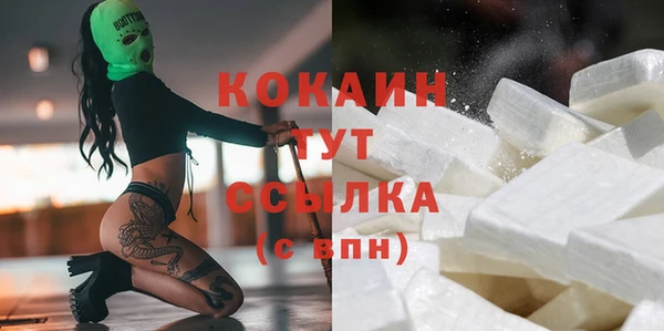 прущие грибы Абаза