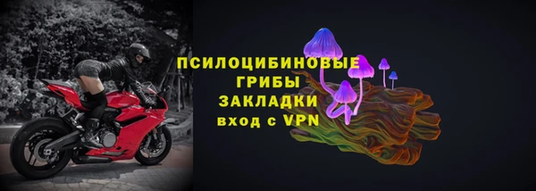 прущие грибы Абаза