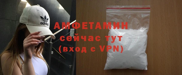 прущие грибы Абаза