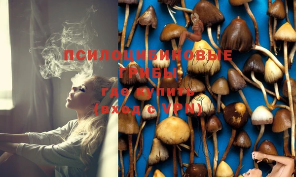 МДПВ Абдулино