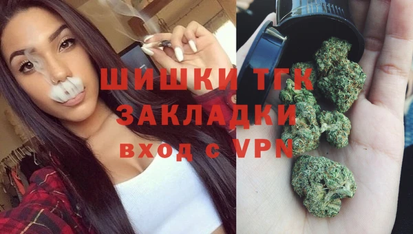 прущие грибы Абаза