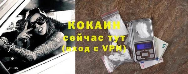 прущие грибы Абаза