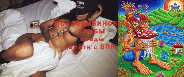 прущие грибы Абаза